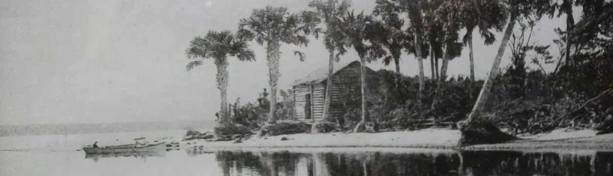 Palmetto Point